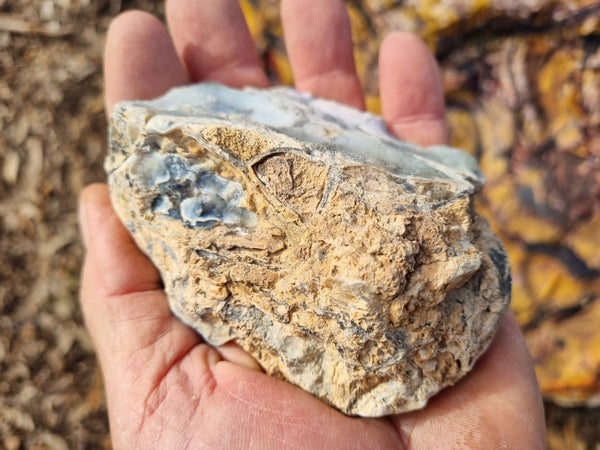 Chalcedony/Chrysoprase  PC120