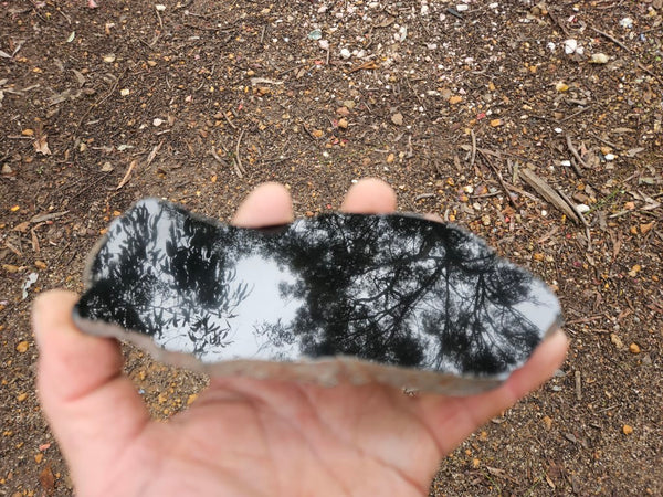 BJ116 Polished "Black Jade"  slab.