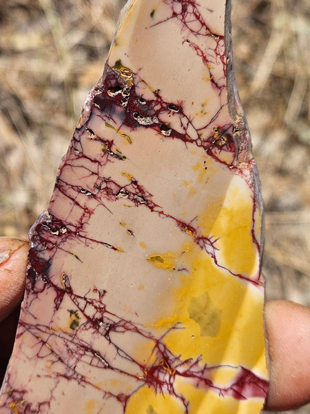 Polished Mookaite slab MK416