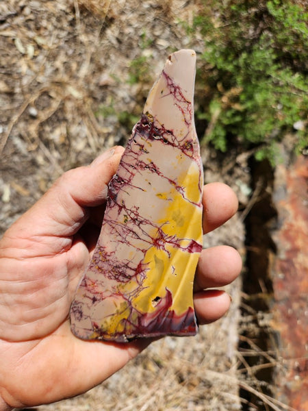 Polished Mookaite slab MK416