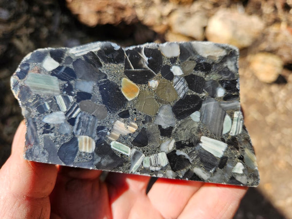 Black Jasper Conglomerate B218
