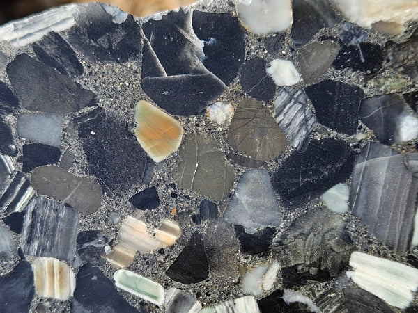 Black Jasper Conglomerate B218