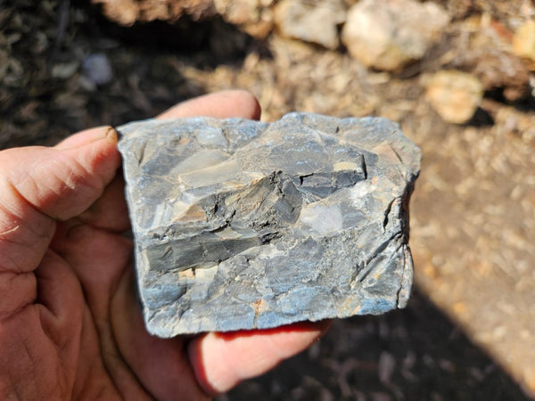 Black Jasper Conglomerate B218