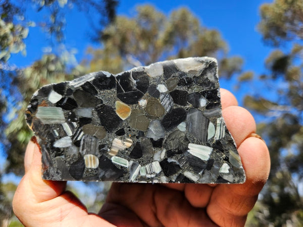 Black Jasper Conglomerate B218