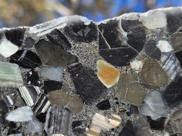 Black Jasper Conglomerate B218