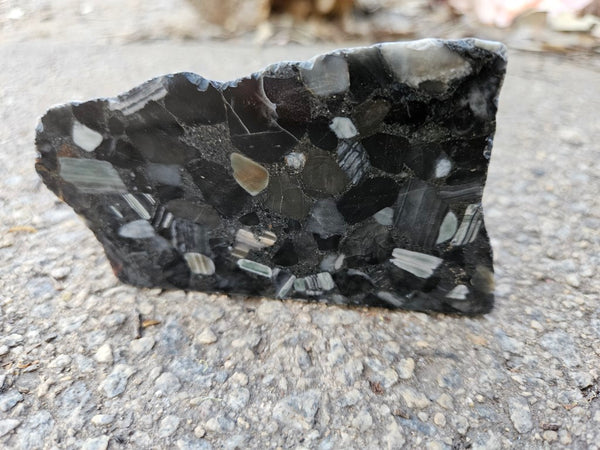 Black Jasper Conglomerate B218