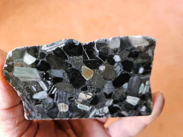 Black Jasper Conglomerate B218