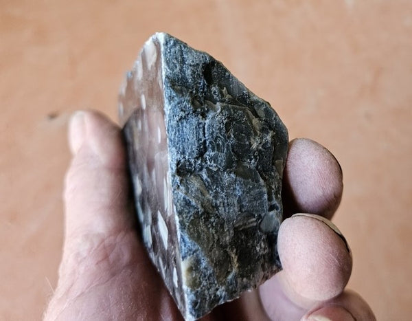 Black Jasper Conglomerate B218