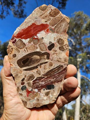 Polished Marillana Conglomerate slab MC115