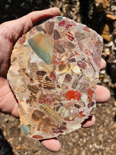 Polished Marillana Conglomerate slab MC116