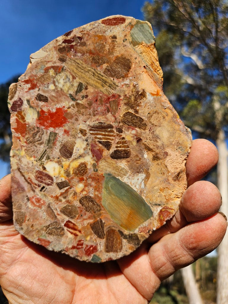 Polished Marillana Conglomerate slab MC116