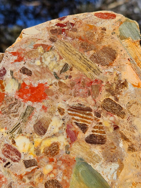 Polished Marillana Conglomerate slab MC116