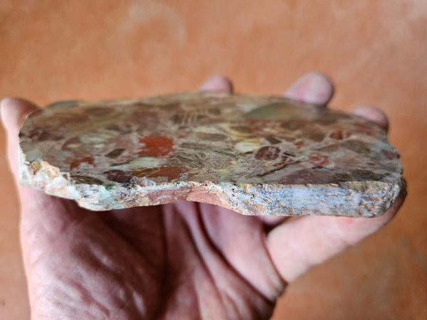 Polished Marillana Conglomerate slab MC116