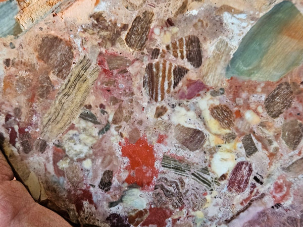 Polished Marillana Conglomerate slab MC116