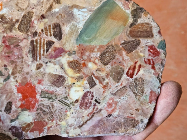 Polished Marillana Conglomerate slab MC116