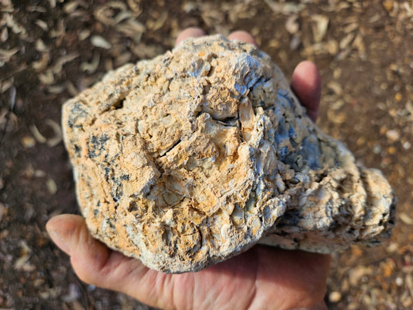 Chalcedony  PC125