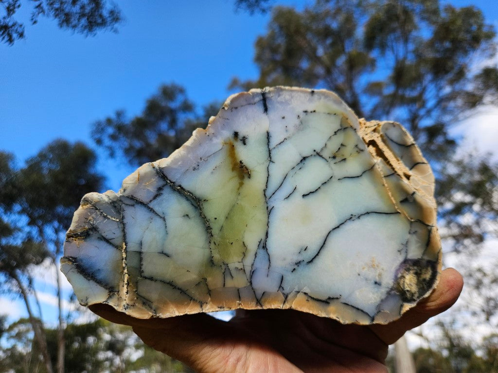Chalcedony  PC125
