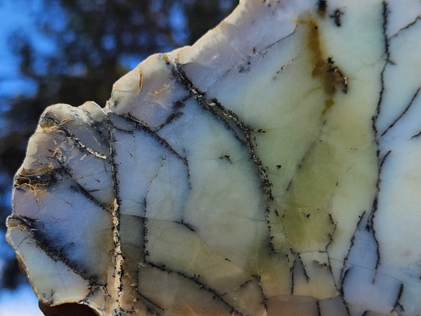 Chalcedony  PC125