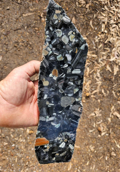 Black Jasper Conglomerate slab B220