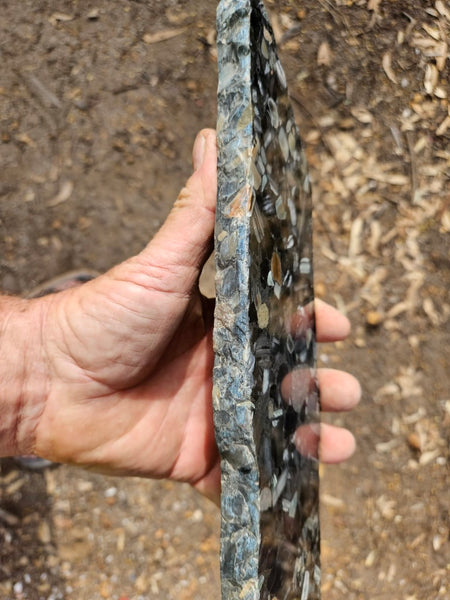 Black Jasper Conglomerate slab B220