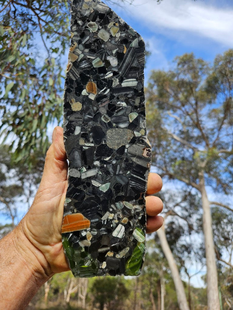 Black Jasper Conglomerate slab B220