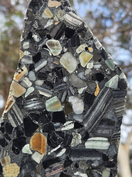 Black Jasper Conglomerate slab B220