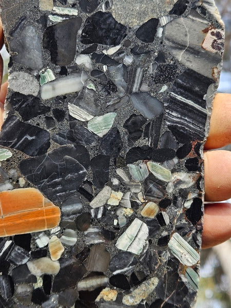 Black Jasper Conglomerate slab B220