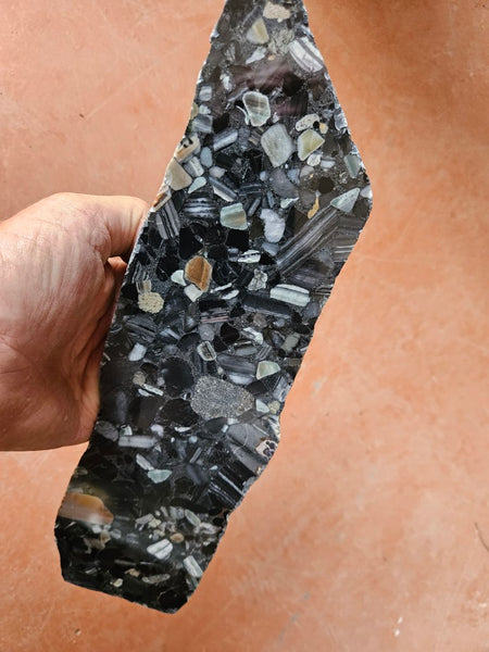 Black Jasper Conglomerate slab B220