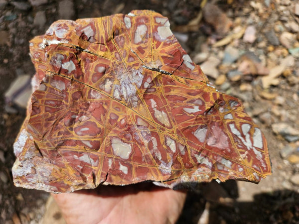 Noreena Jasper rough NJR174