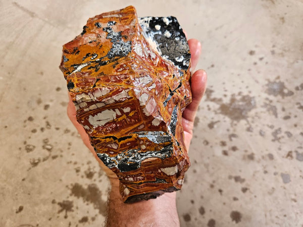 Noreena Jasper rough NJR174