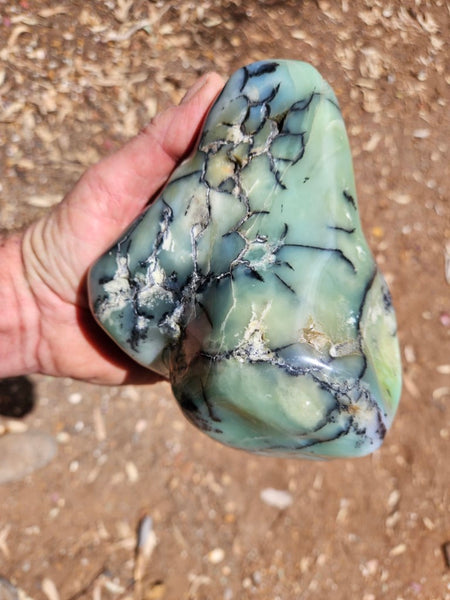 Contour Polished Chrysoprase CHC105