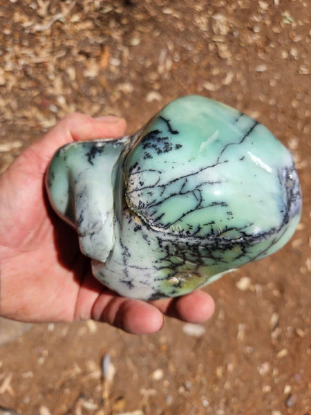 Contour Polished Chrysoprase CHC105