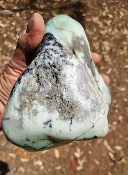Contour Polished Chrysoprase CHC105