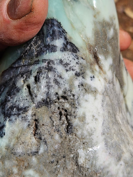 Contour Polished Chrysoprase CHC105