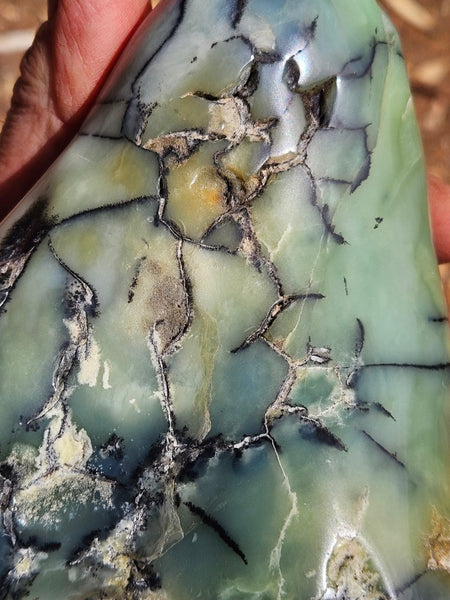 Contour Polished Chrysoprase CHC105