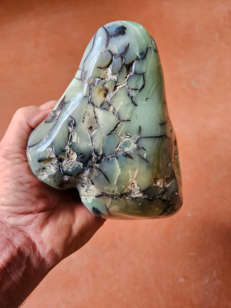 Contour Polished Chrysoprase CHC105