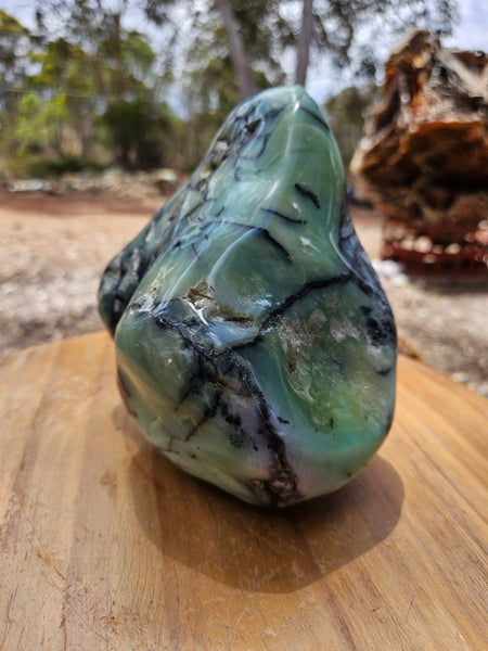 Contour Polished Chrysoprase CHC105