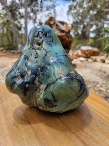 Contour Polished Chrysoprase CHC105