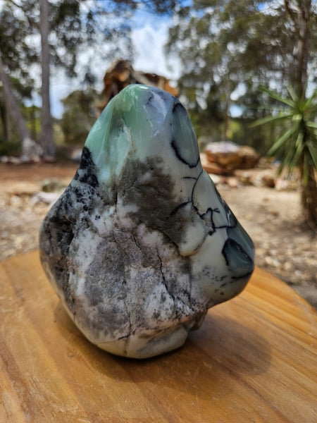 Contour Polished Chrysoprase CHC105