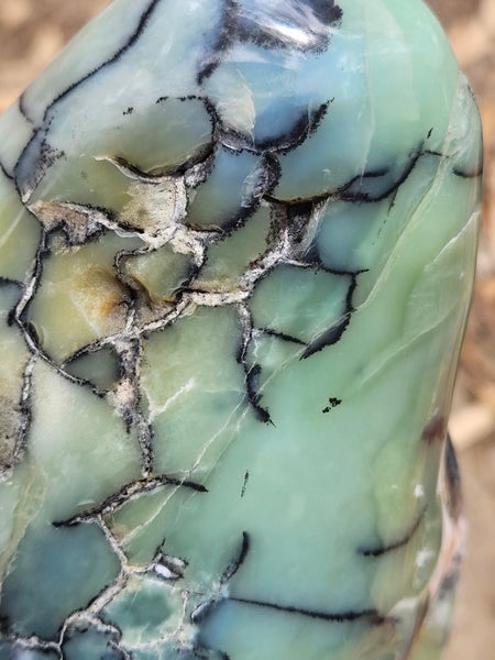 Contour Polished Chrysoprase CHC105
