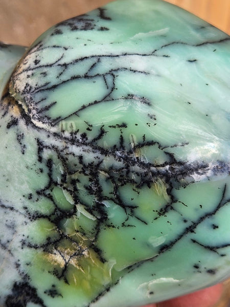Contour Polished Chrysoprase CHC105