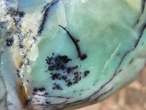 Contour Polished Chrysoprase CHC105