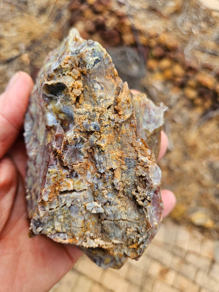 Dendritic Opal  rough.  DOR241