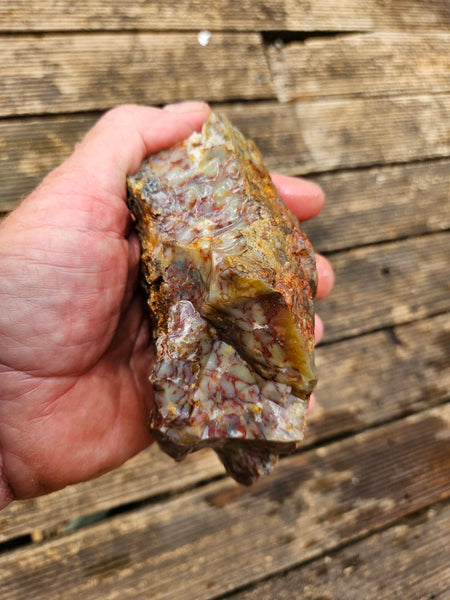 Dendritic Opal  rough.  DOR241