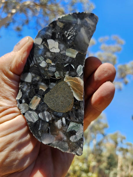 Black Jasper Conglomerate slab B223