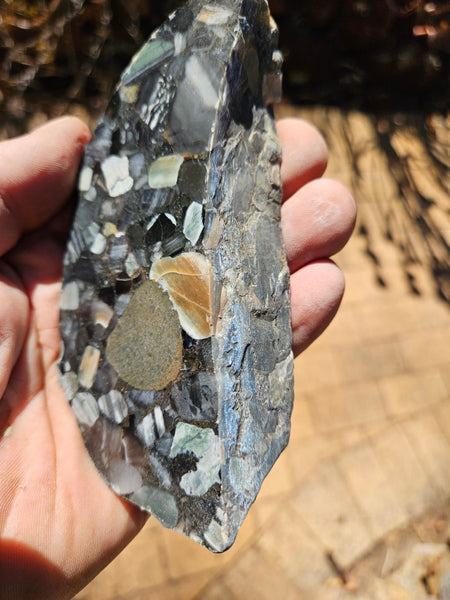 Black Jasper Conglomerate slab B223