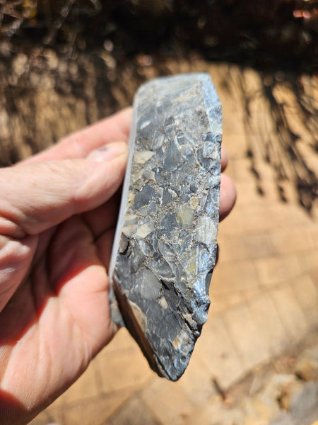Black Jasper Conglomerate slab B223