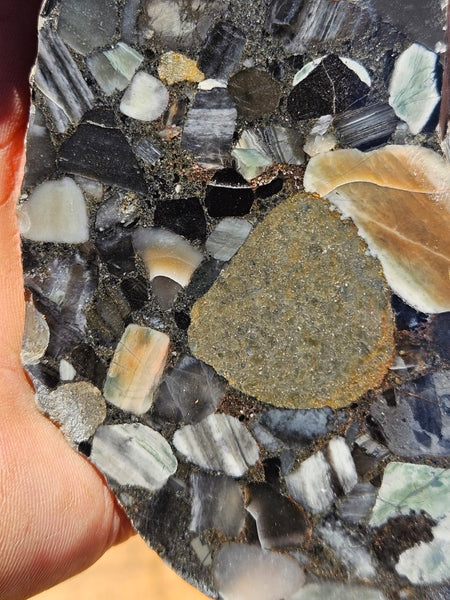 Black Jasper Conglomerate slab B223
