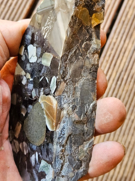 Black Jasper Conglomerate slab B223