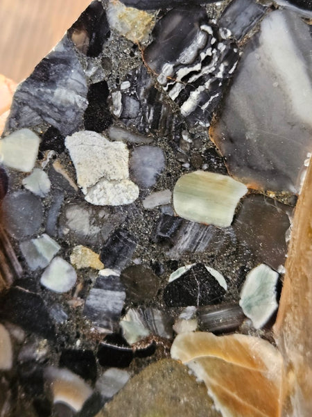 Black Jasper Conglomerate slab B223